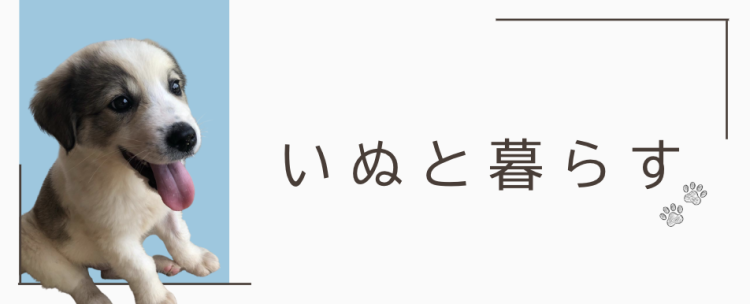 いぬと暮らす